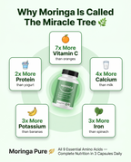 Moringa Pure | 60 Capsules