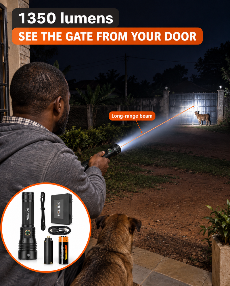 The torch beam reaching the gate across a dark compound, showing a goat by the gate